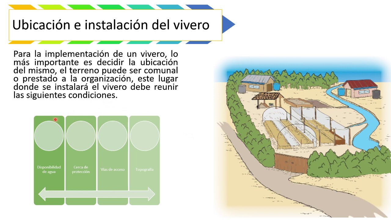 MANEJO DE VIVEROS FORESTALES