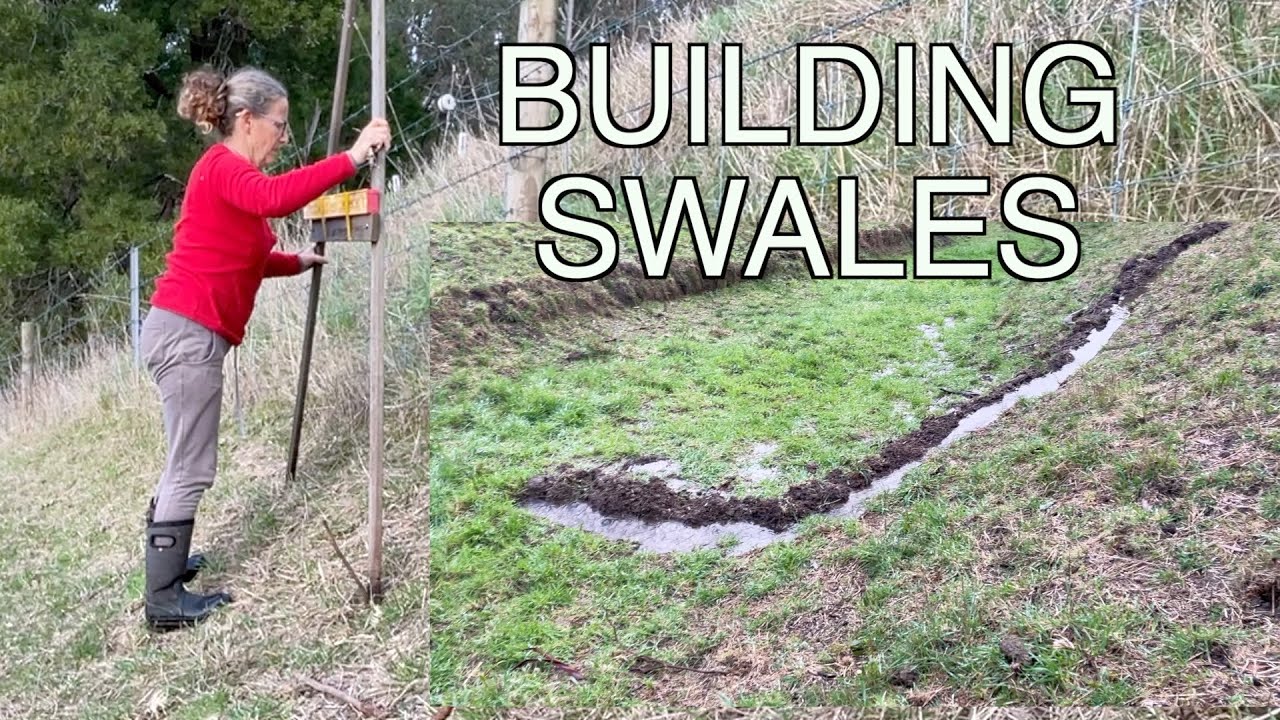 Ensuring water for my New Olive Tree Grove | Swales on Contour | Permaculture Farm