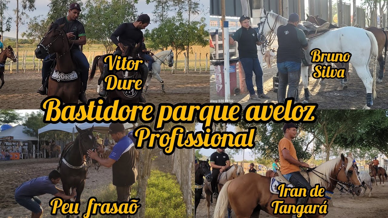 BASTIDORES DA CATEGORIA PROFISSIONAL NO PARQUE AVELOZ CAMPEONATO PE PB DE VAQUEJADA 2024