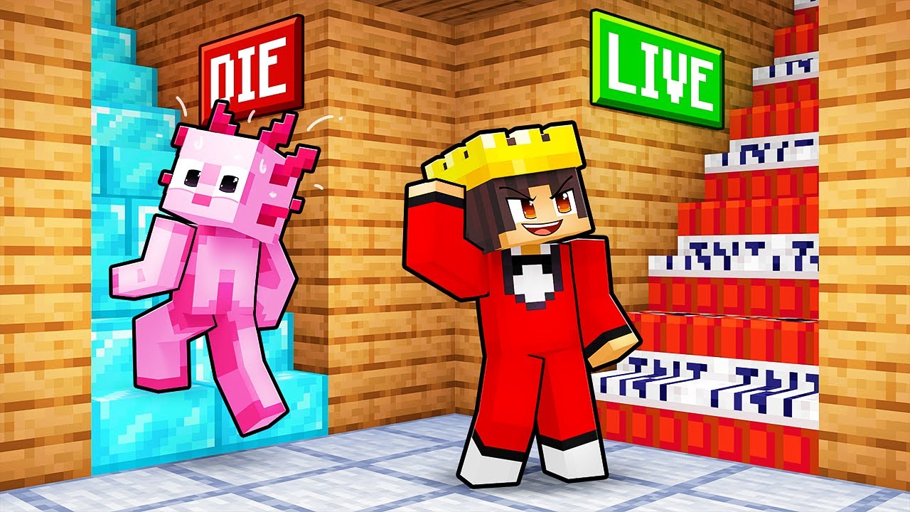 Choose The Right Stairs In Minecraft!