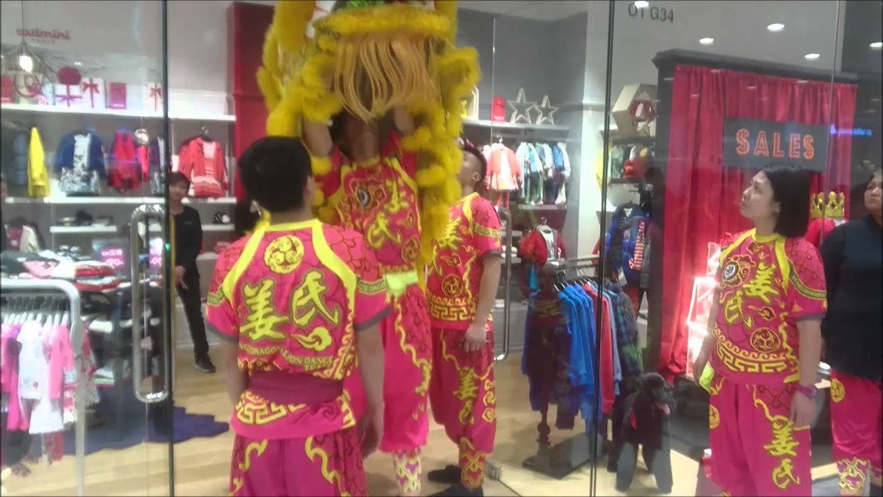 舞獅採青 1