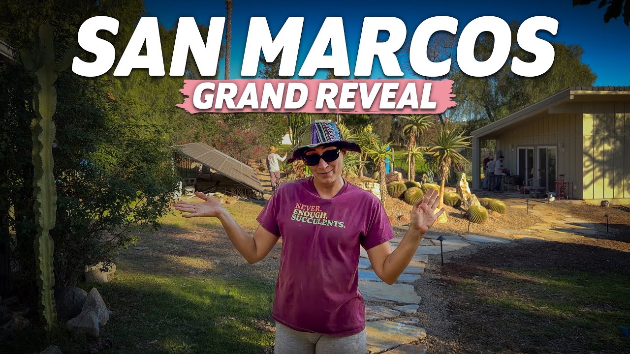 Hannah's San Marcos Grand Reveal!