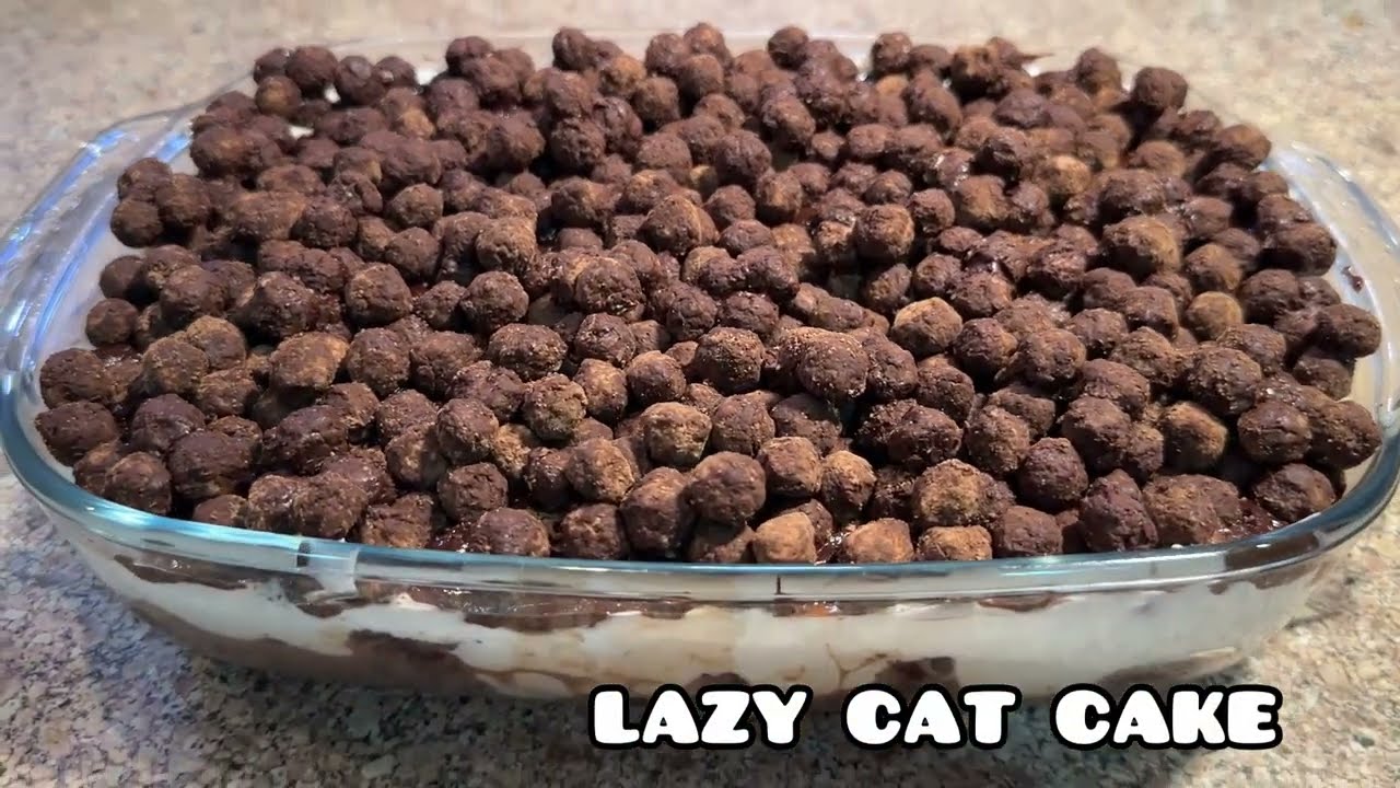 The Famous Trending Cake De Lazy Cat Choco CakeII Viral Choco Crunch Cake Recipe