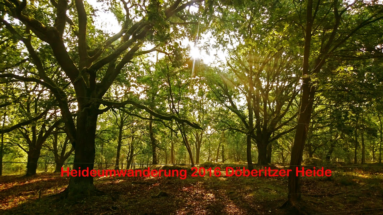 Umwanderung der Döberitzer Heide