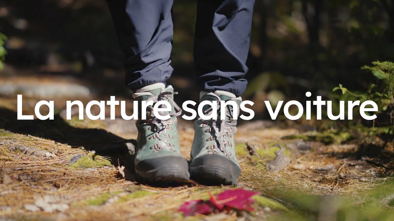 La nature sans voiture