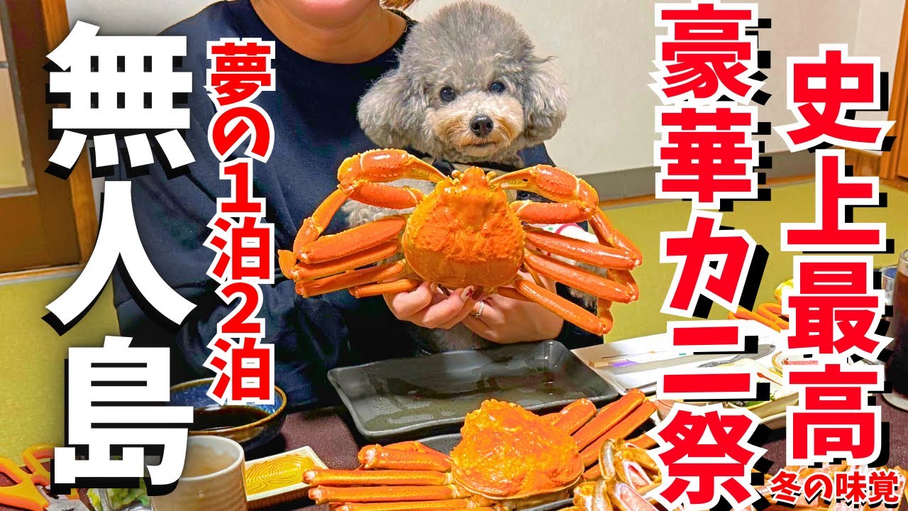 【愛犬と泊まれる宿】リピ確定！無人島はまさかのカニの楽園だった🦀冬の味覚、サウナ、ドッグランざんまい🐶【京都京丹後久美浜】
