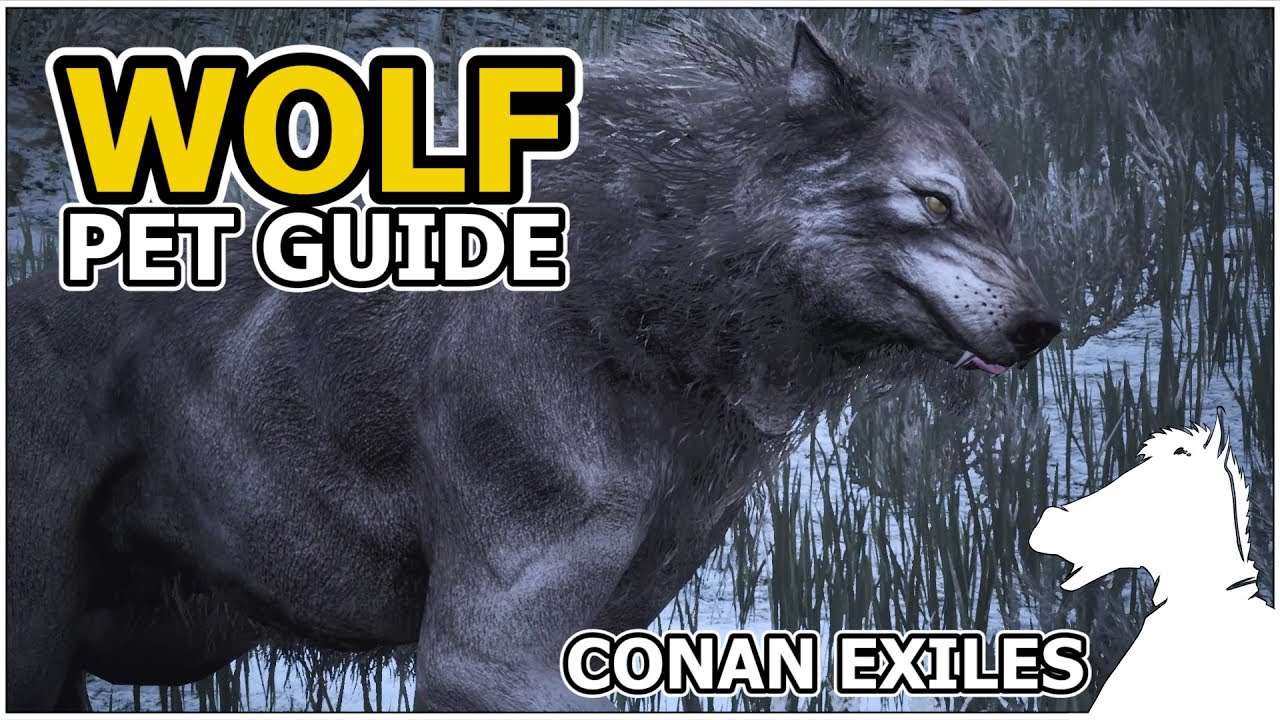 WOLF | Pets Guide | CONAN EXILES