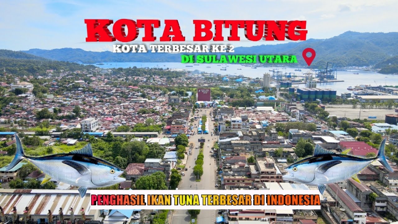 WAJAH Kota BITUNG - Fakta Viral Kota BITUNG- DRONE 4K