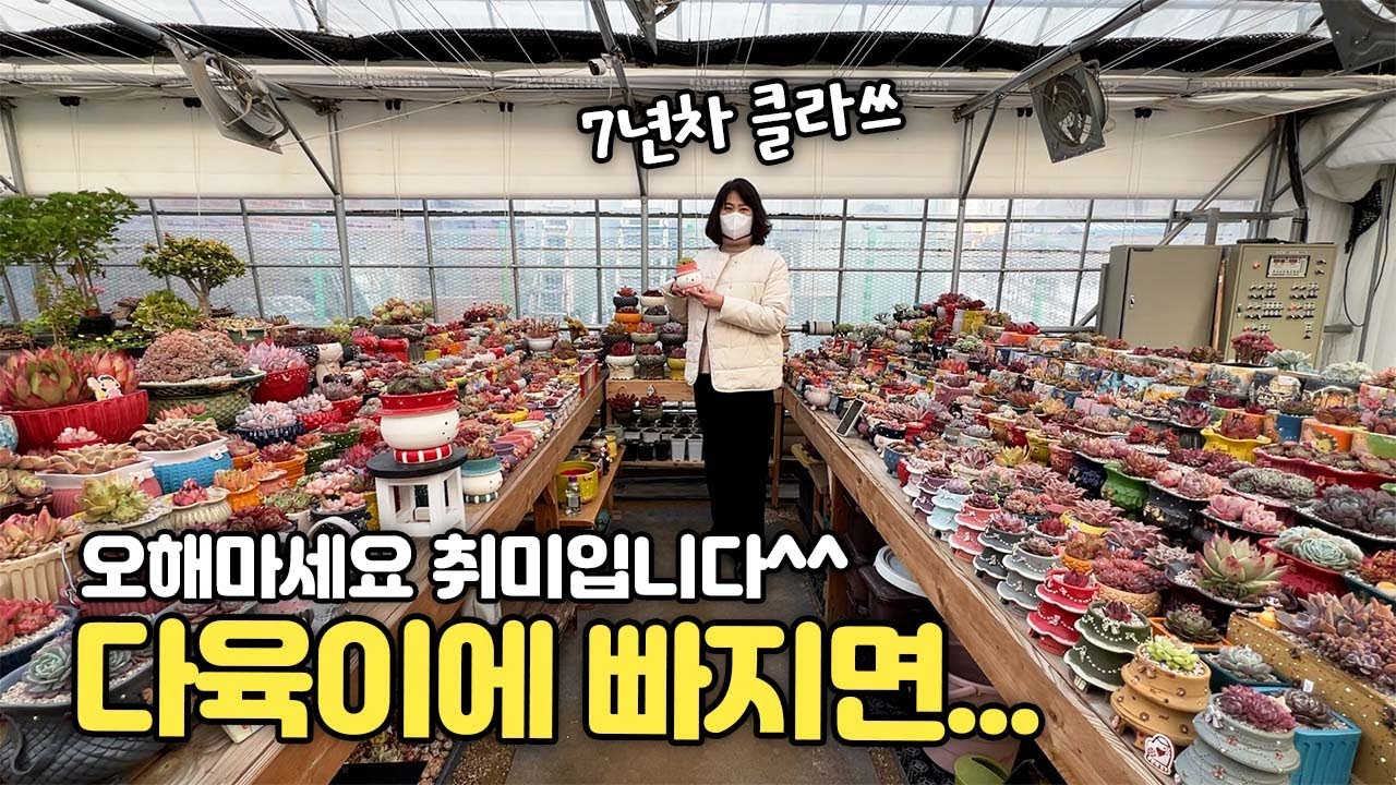 다육이 7년차 클라쓰, 취미입니다:) 다육이 종류가 어마어마합니다
