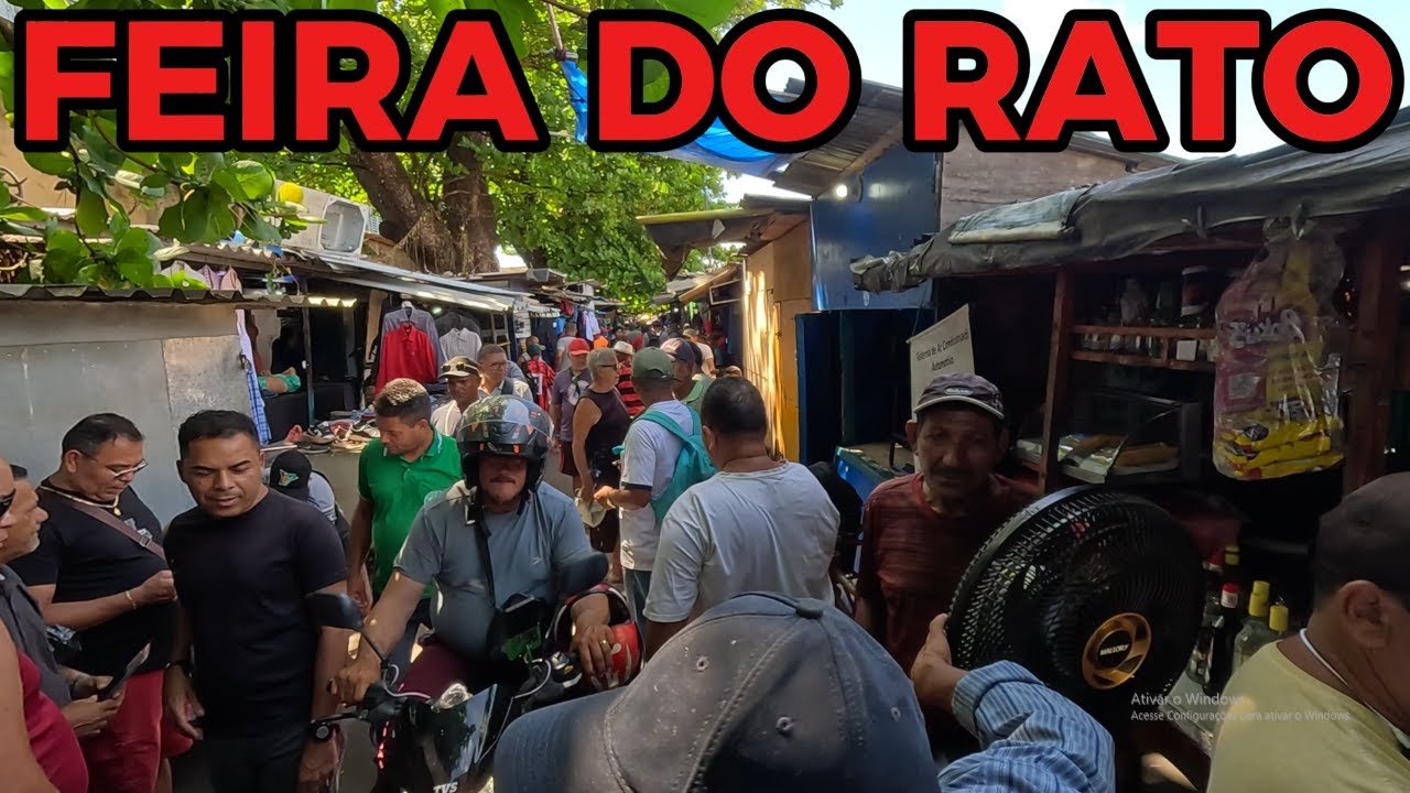 FEIRA DO RATO | A MAIOR E MAIS ANTIGA FEIRA DO ROLO DE MACEIÓ