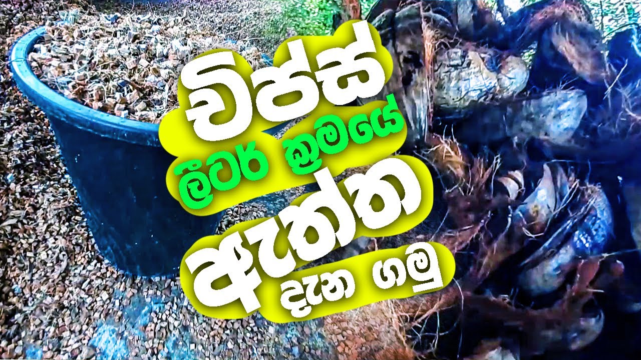 චිප්ස් ලීටර් ක්‍රමයට