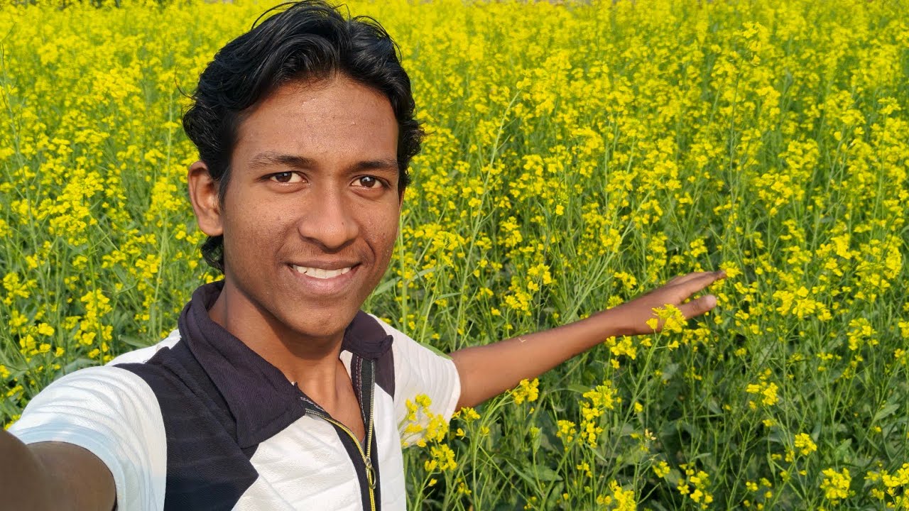 Bihar Ka Fasal🌾 | 