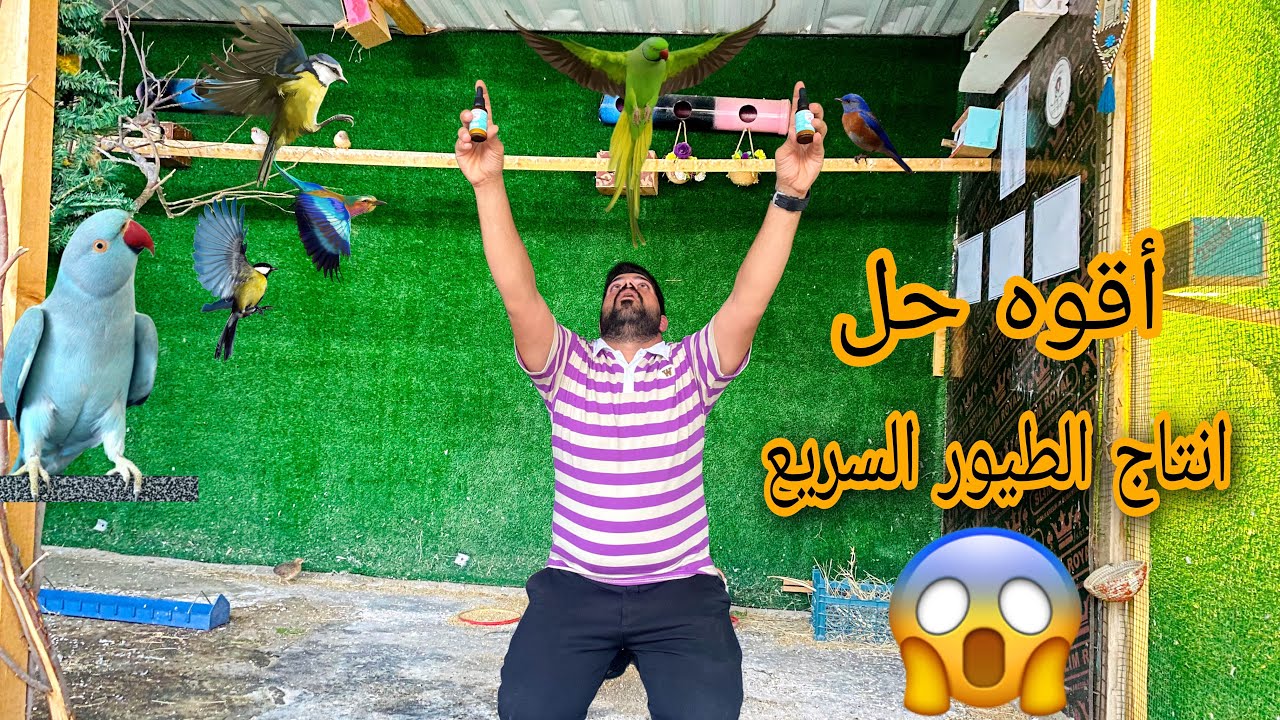 بسم الله بلش الانتاج😘الكوكتيل بيضت🪺