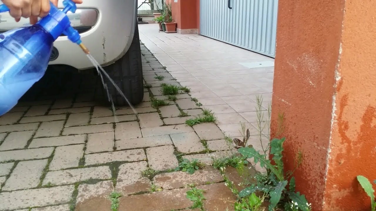 Diserbante naturale FAI DA TE