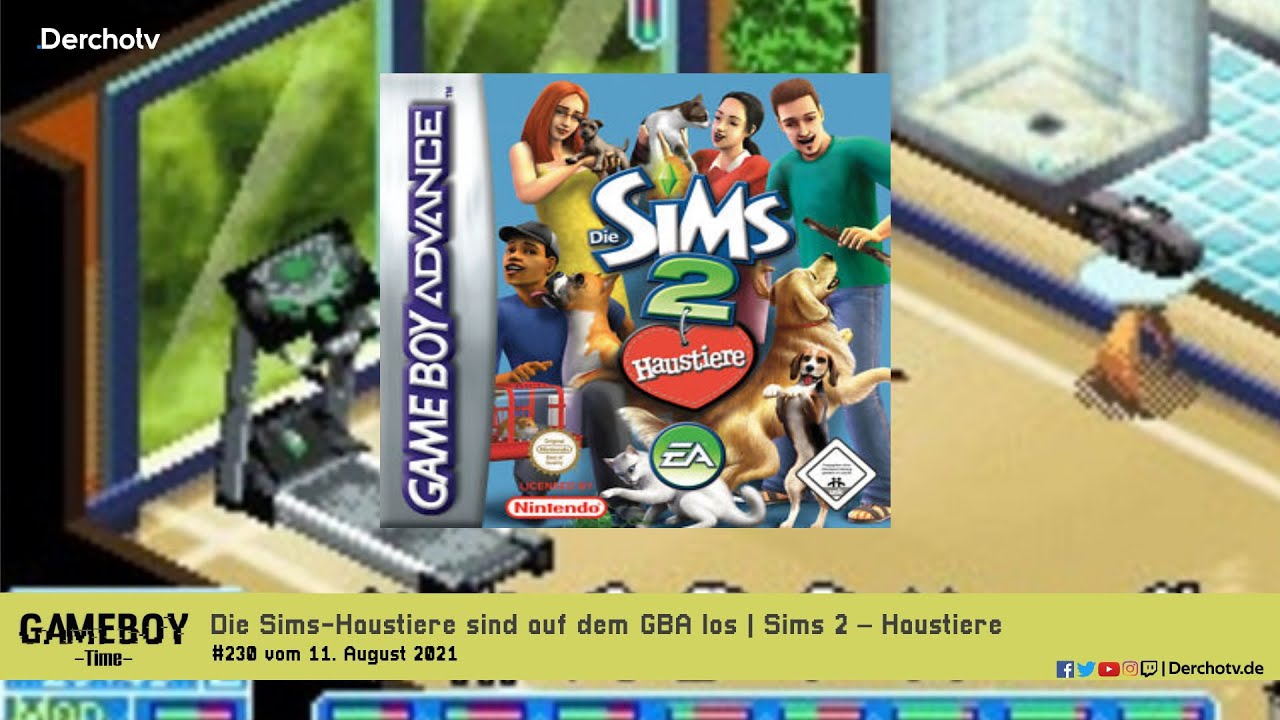 Die Sims-Haustiere sind auf dem GBA los | Sims 2 – Haustiere | GAMEBOY Time #230 vom 11.08.2021
