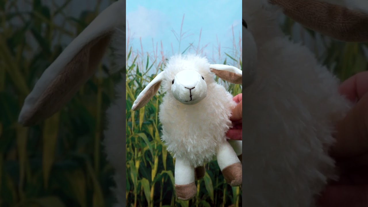 Old MacDonald Sheep | Blippi📖 Moonbug Kids Learning Corner