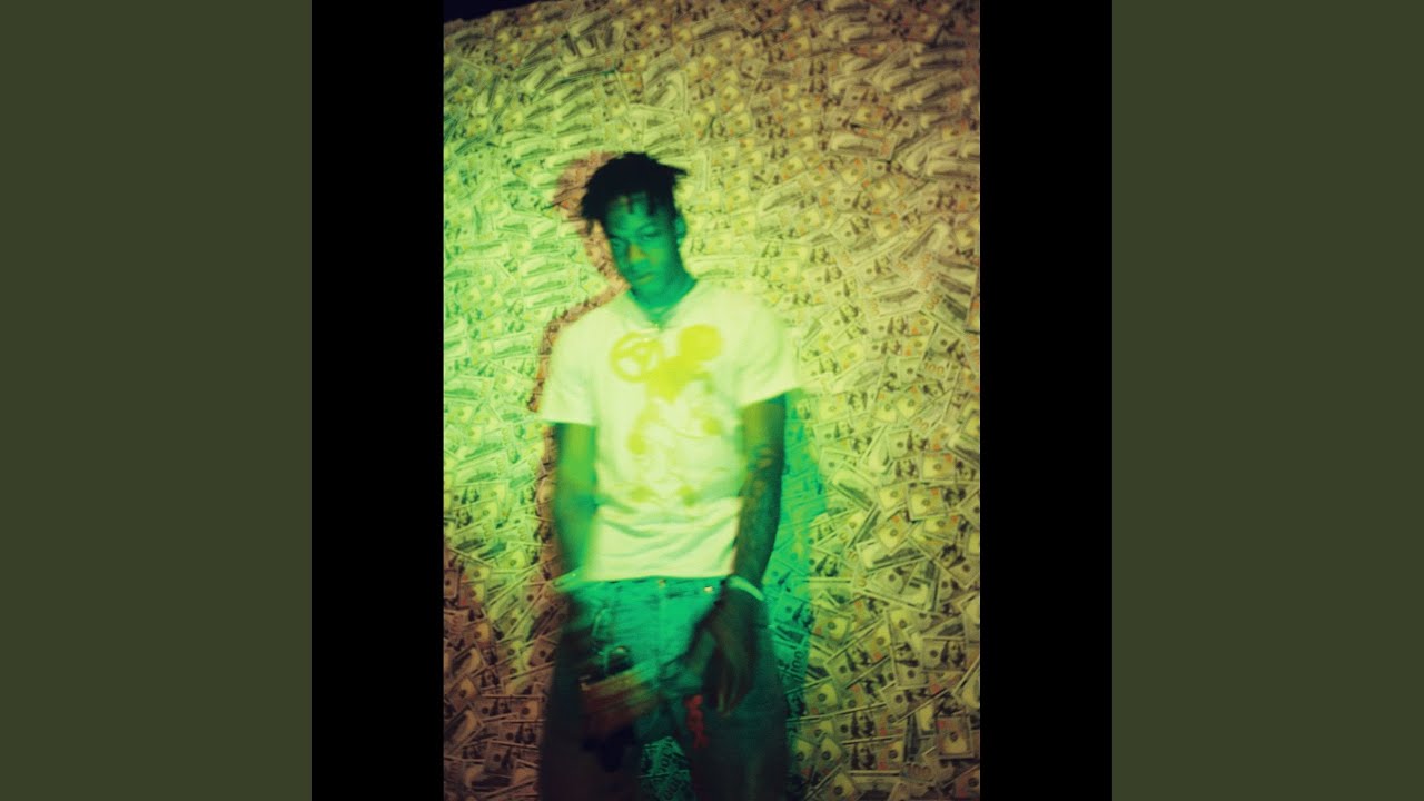 Immersion Vox
