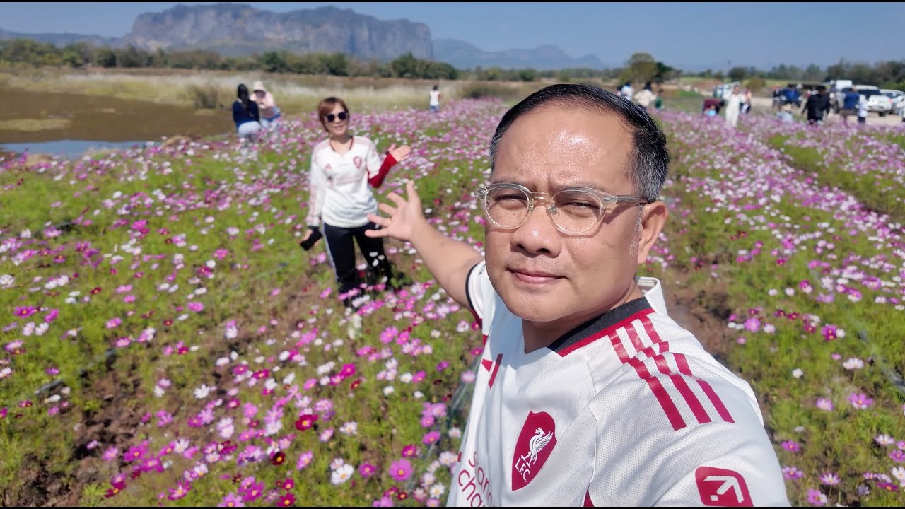 One day trip : ทุ่งดอกคอสมอส และบลูลากูน ภูผาม่าน ขอนแก่น