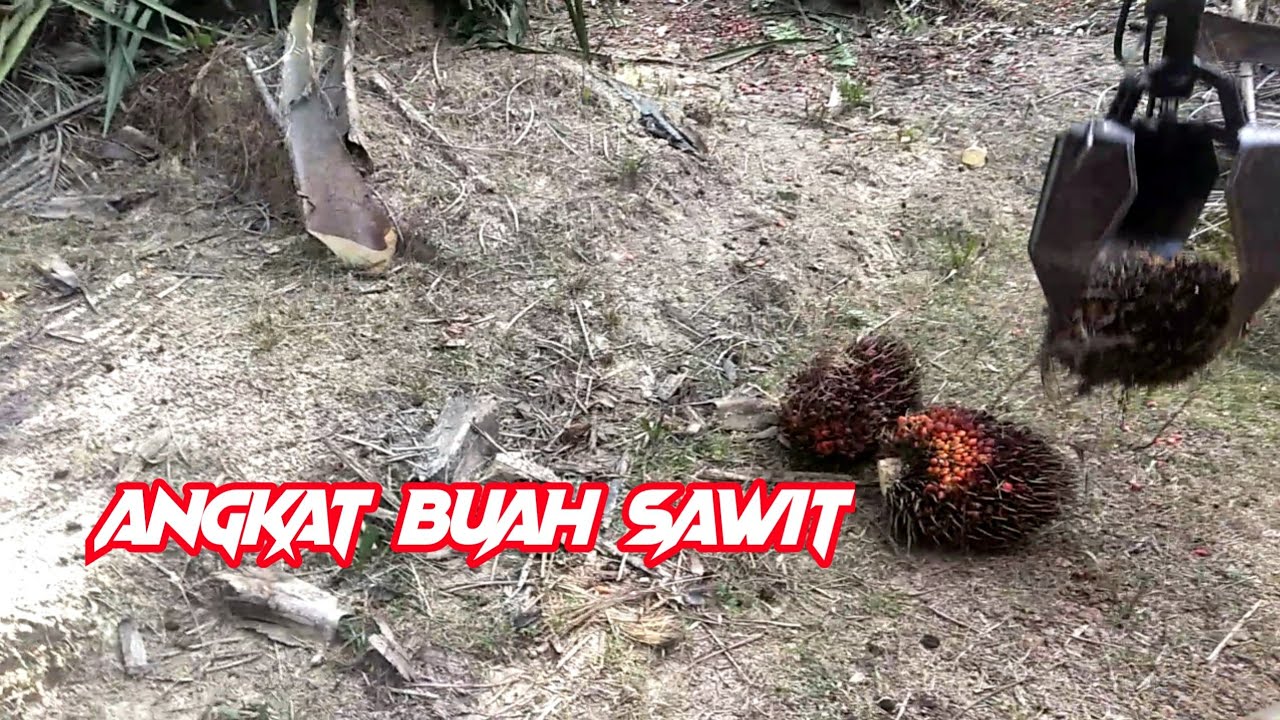 Mesin Loding Buah Kelapa Sawit | kubota L3200 crane grabber
