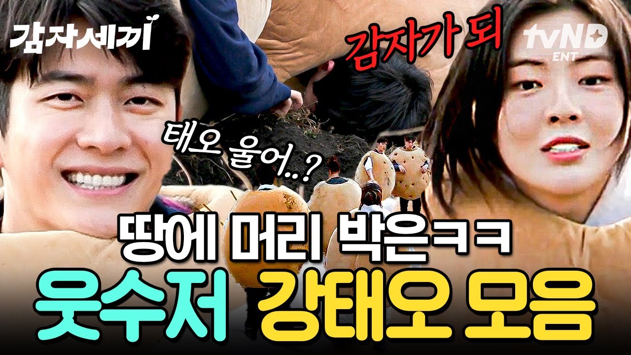 [#감자세끼] 감자를 너무 사랑한 나머지 감자가 되어 버린 강태오 ㅋㅋㅋ 몸 개그 선보이며 모두를 빵 터지게 만든 웃수저 강태오 모음🌱