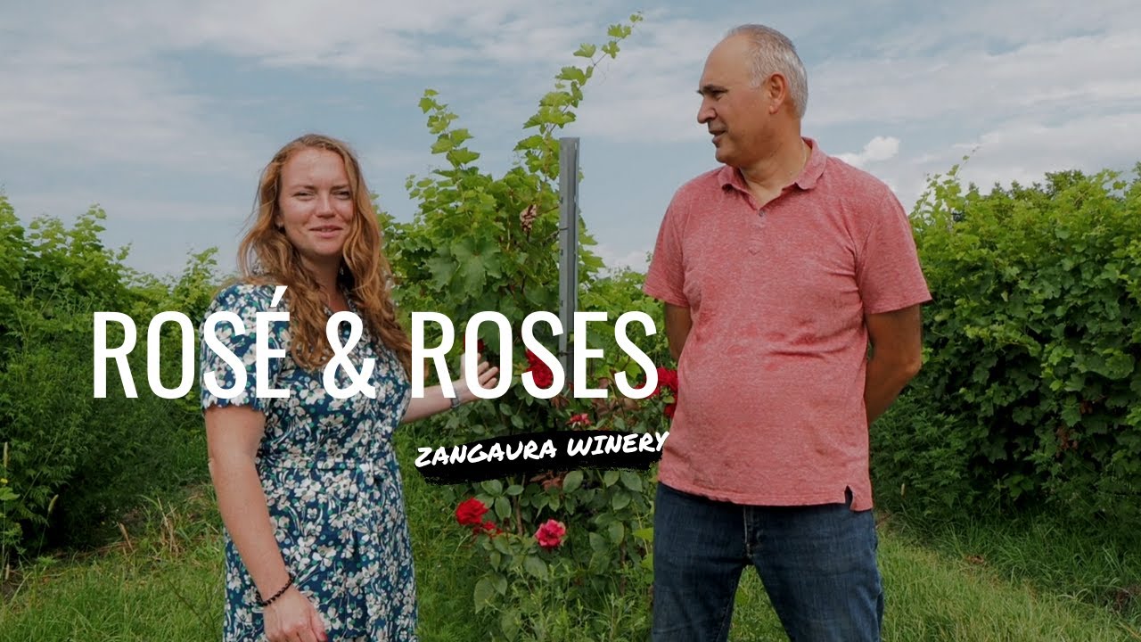 Discover Zangaura & Rare Wines | NinoVino