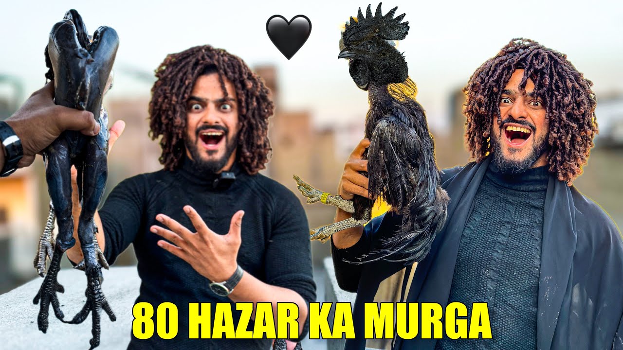 80 Hazar Ka Murga Zibah Kardia😍 | Mishkat Khan | The Fun Fin