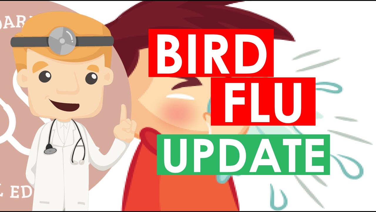 Update On Bird Flu - Overview On All Things Avian Influenza | Public Health
