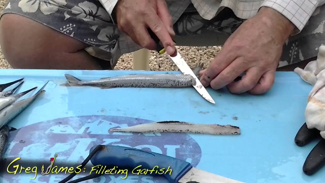 Catch it, Cook it, Eat it - Filleting Garfish