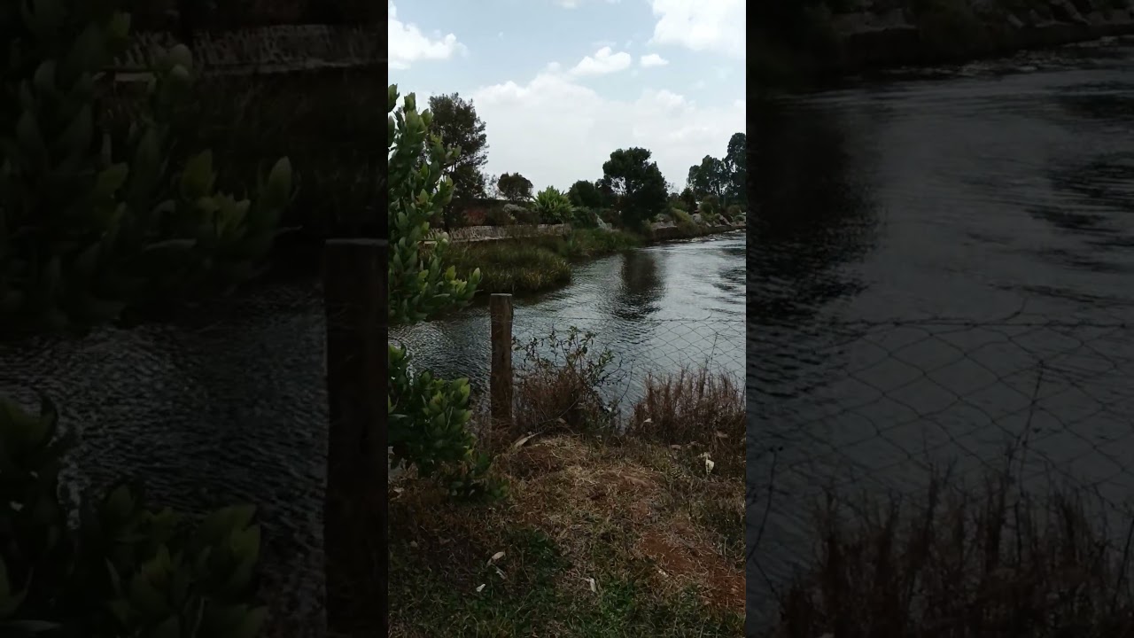 The Lobo Village serenity at its best 🔥🔥😍😍!#lobovillage #serenity #naturephotography #lakelife #fyp