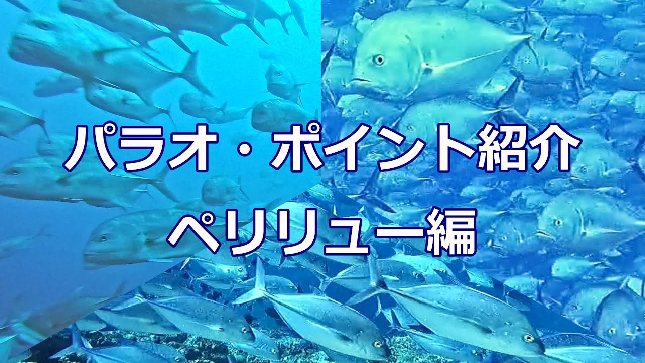 パラオのダイビングポイント紹介 　ペリリュー編