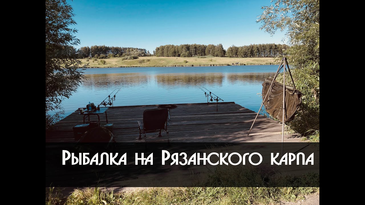 Рыбалка на Рязанского карпа. Карпфишинг.