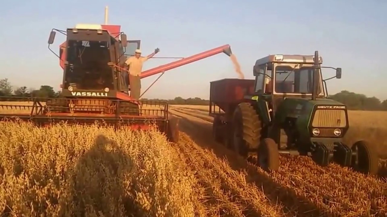 Oat Harvest in Argentina 2017 Vassalli 910