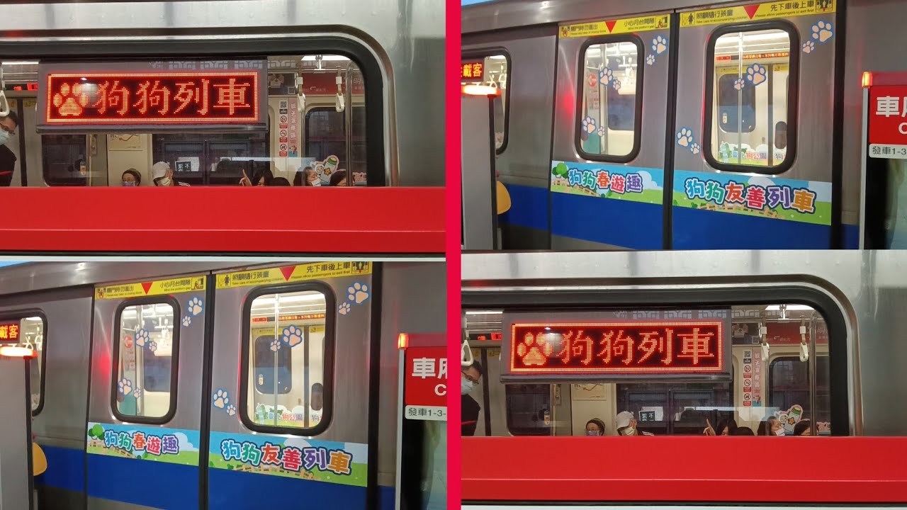 【4/12國際寵物日丨北捷狗狗列車末班車】台北捷運 R淡水信義線 c301 車號05/06 車次182 關渡R25~淡水R28 路程景
