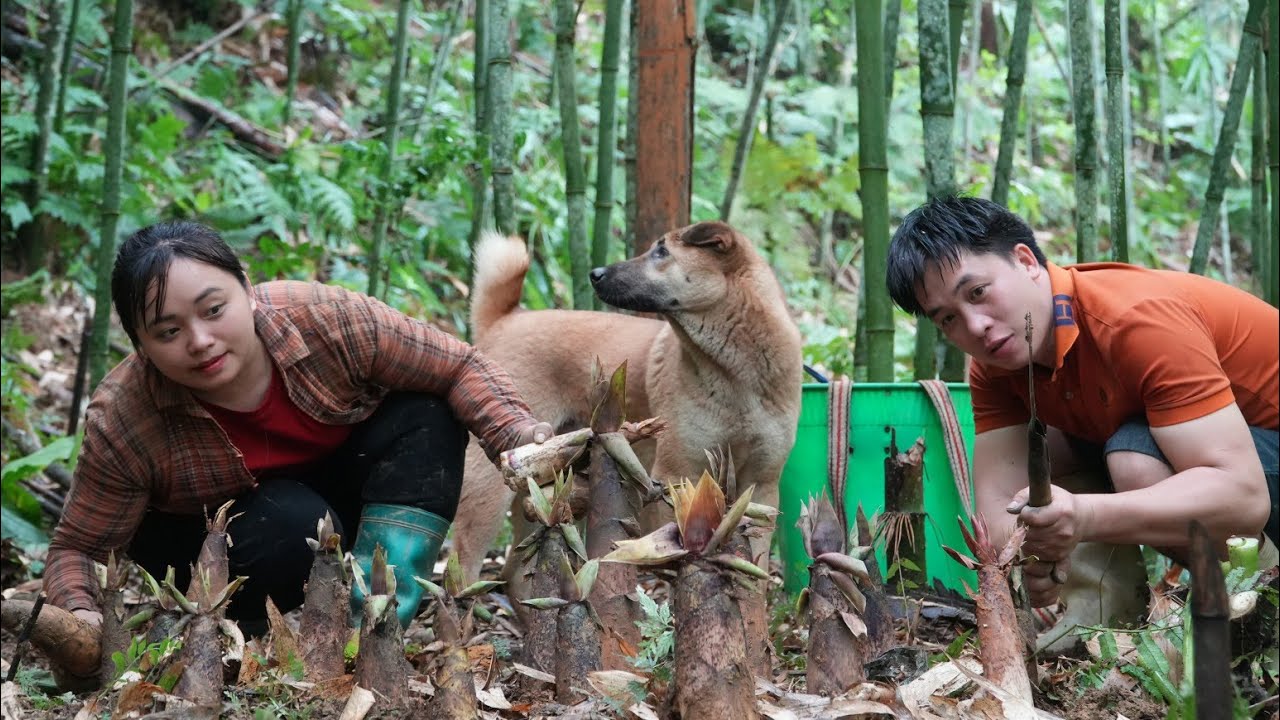 Harvesting the First Bamboo Shoots of the Season - A Warm Family Meal in The Mountains
