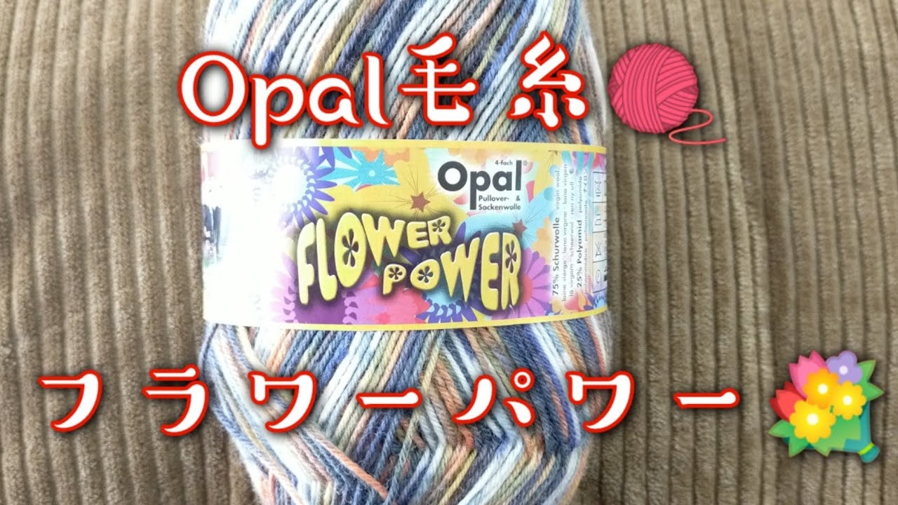 【毛糸レビュー🧶】Opal毛糸フラワーパワー💐で編むベーシックな靴下24cm