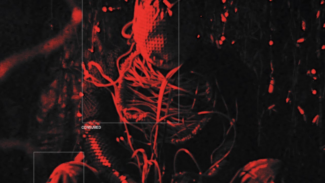 Grief Ritual - Consumed [Official music video]