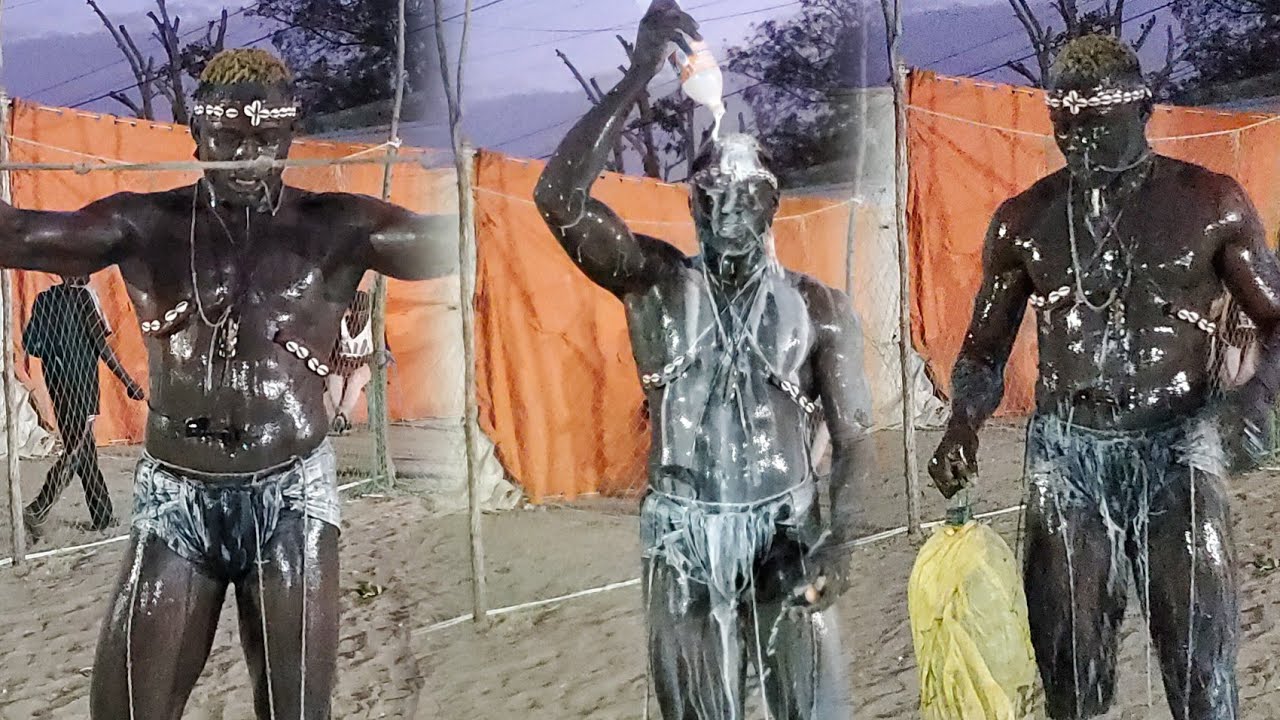 L'entrée très mystique de lion de barri à djilor le 12 février 2026