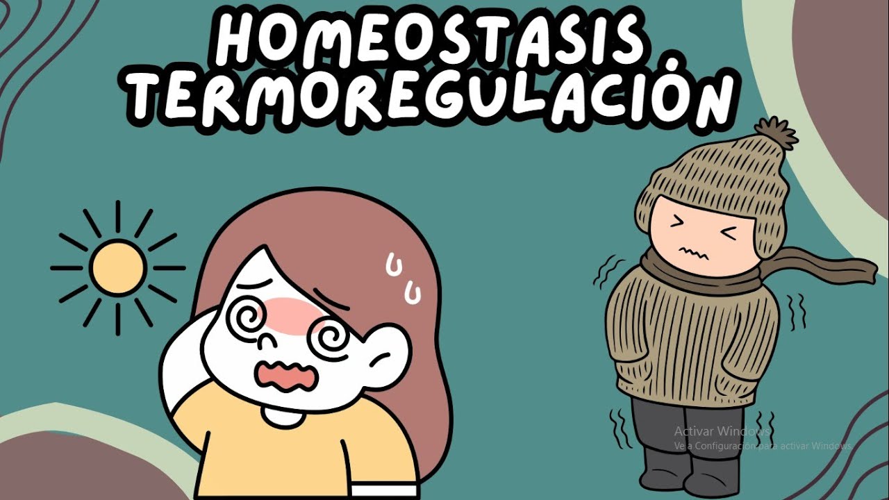 &iquest;C&oacute;mo se regula la temperatura corporal? Homeostasis Termorregulaci&oacute;n