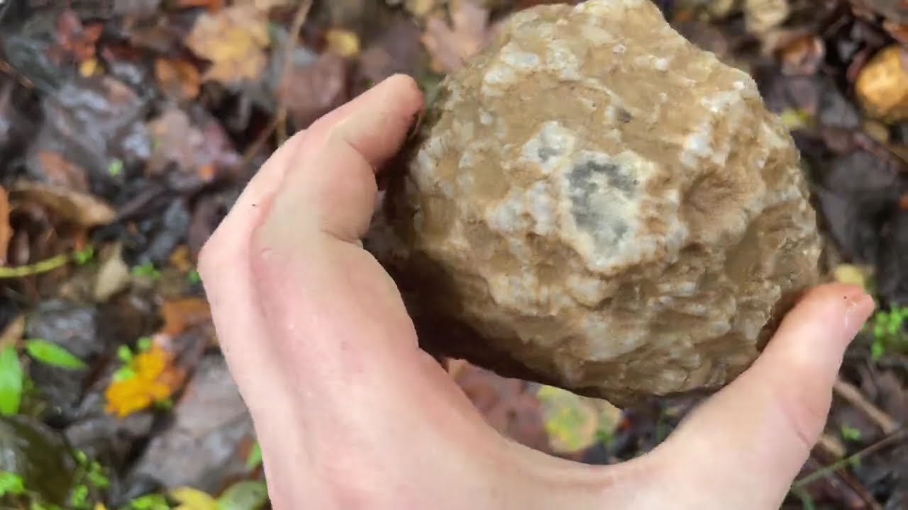Indiana Geode Collecting | October 2021 | Part Two #TheFinders