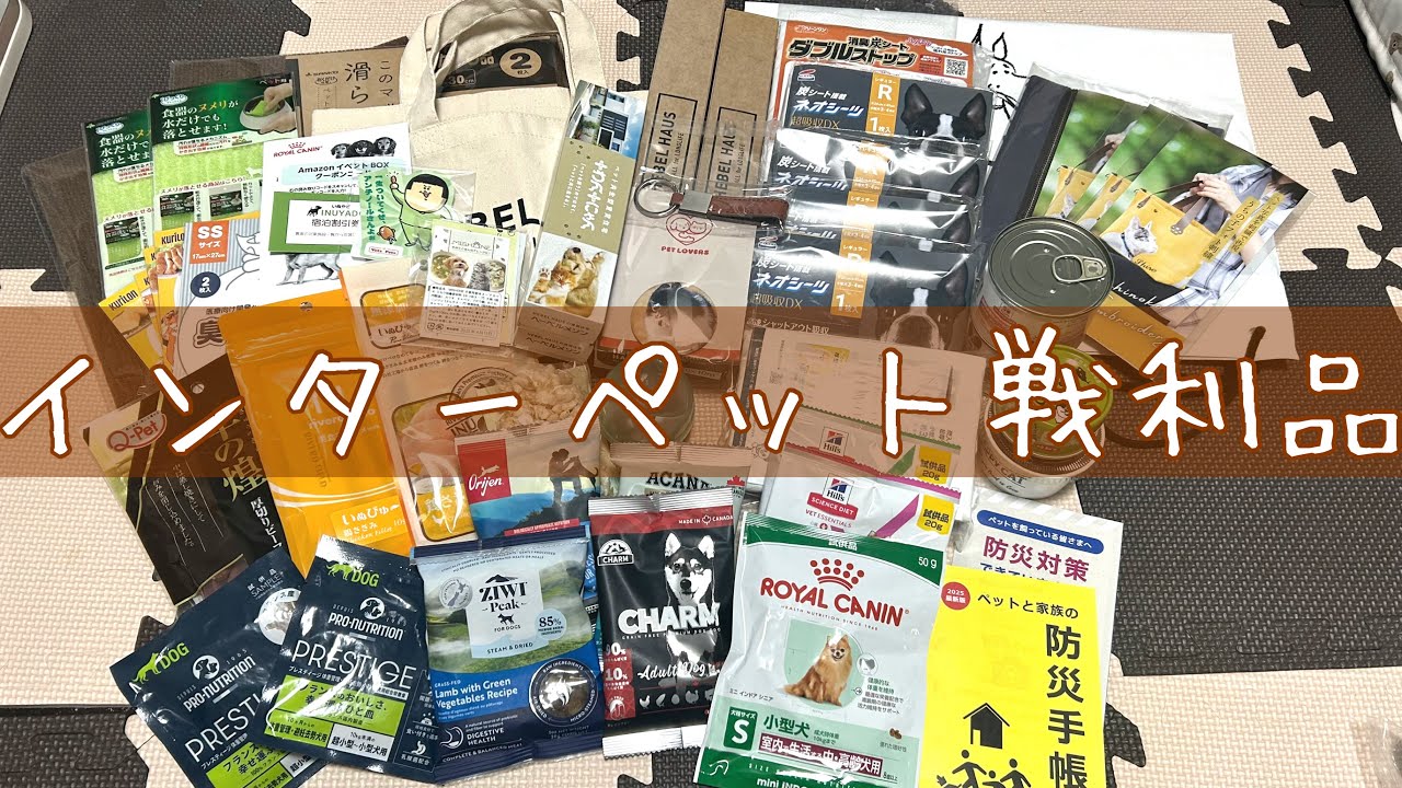 毎年恒例のインターペットへ行ってきました🐶