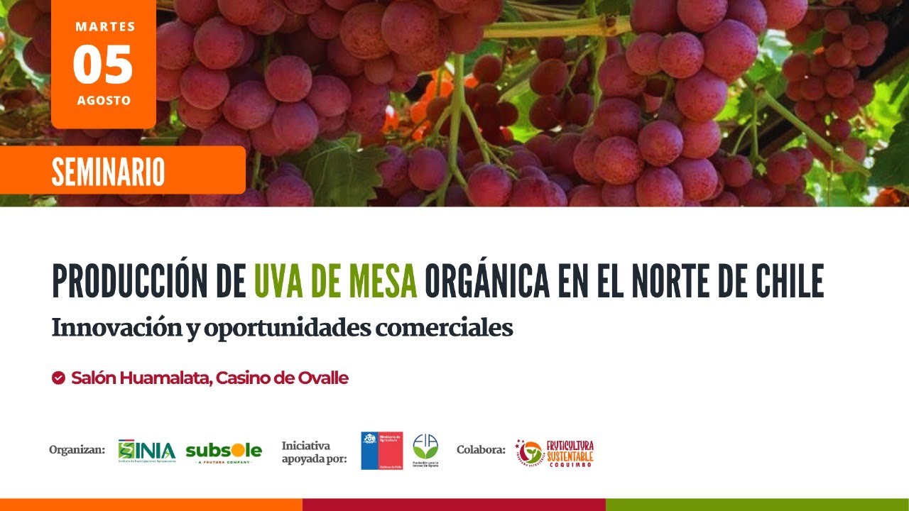 Seminario 