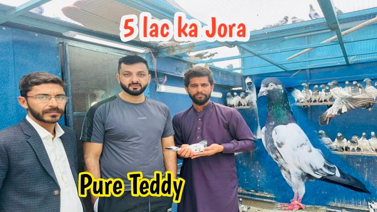  5 Lac ka Jora ❤️
