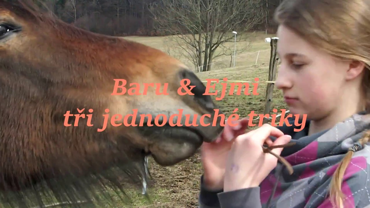 KOŇSKÉ TRIKY: hrabání, úsměv & pusinka