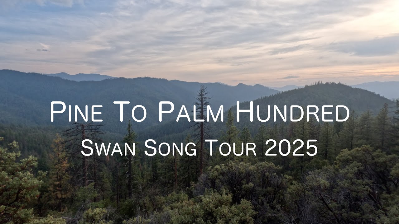 PINE TO PALM HUNDRED | Тур «Лебединая песня» 2025