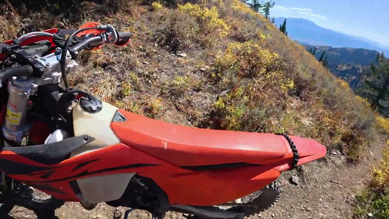 Beavers Ruin My Ride