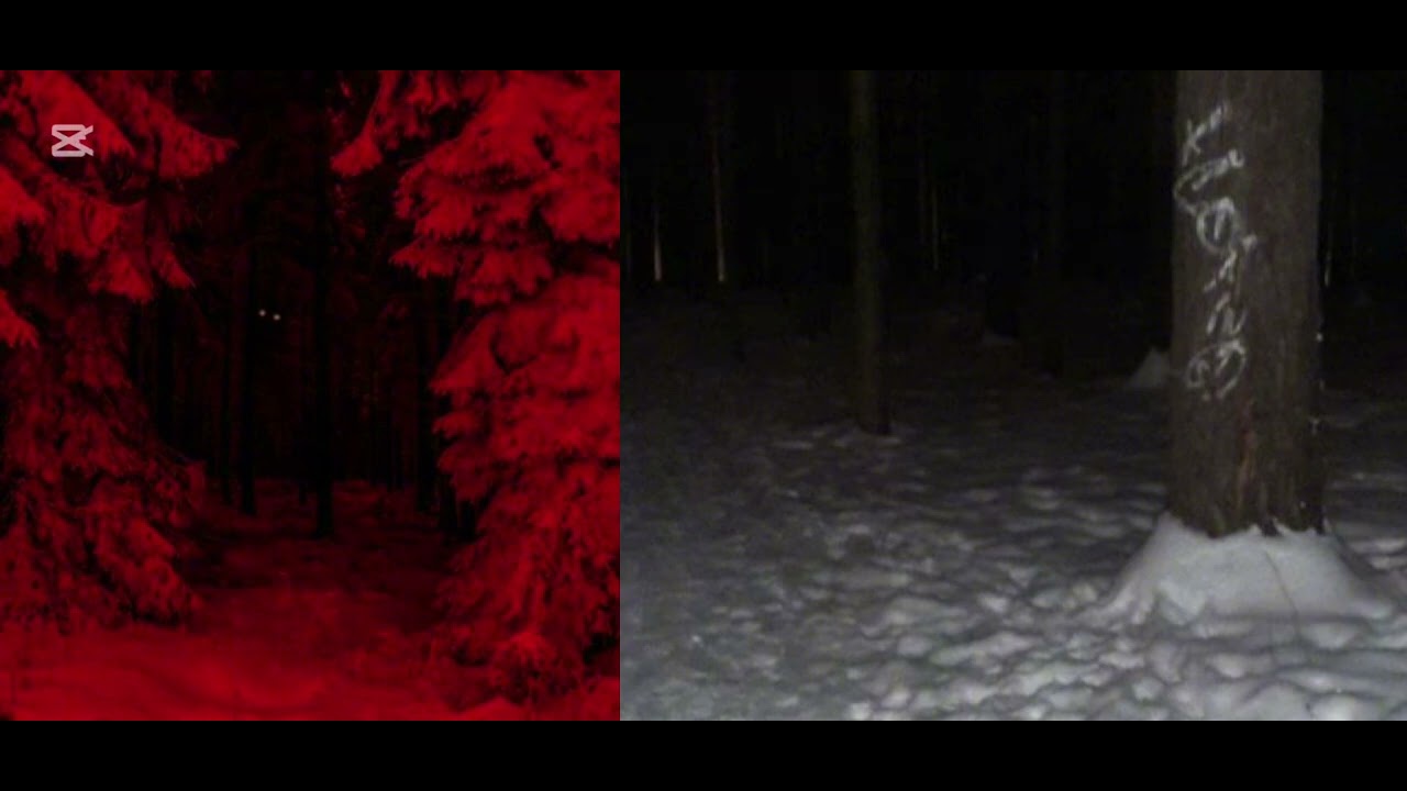 The snowy forest music (map:ost)