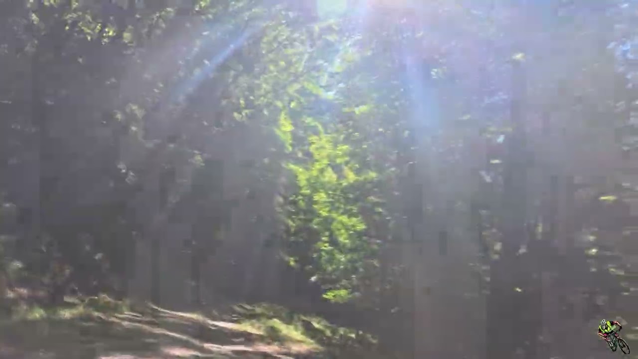 I Giri del Drugo - Foreste Casentinesi  La Foresta Proibita