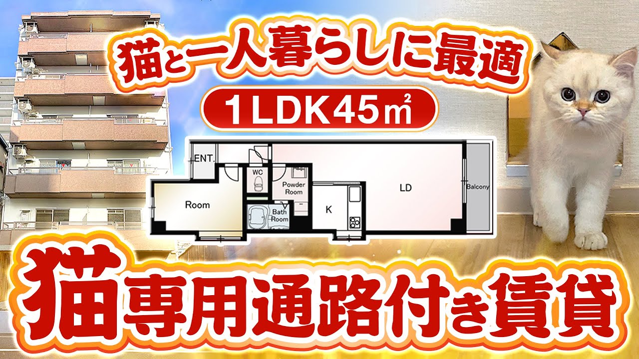 【ペット可賃貸】猫と住める一人暮らし向け賃貸物件をルームツアー