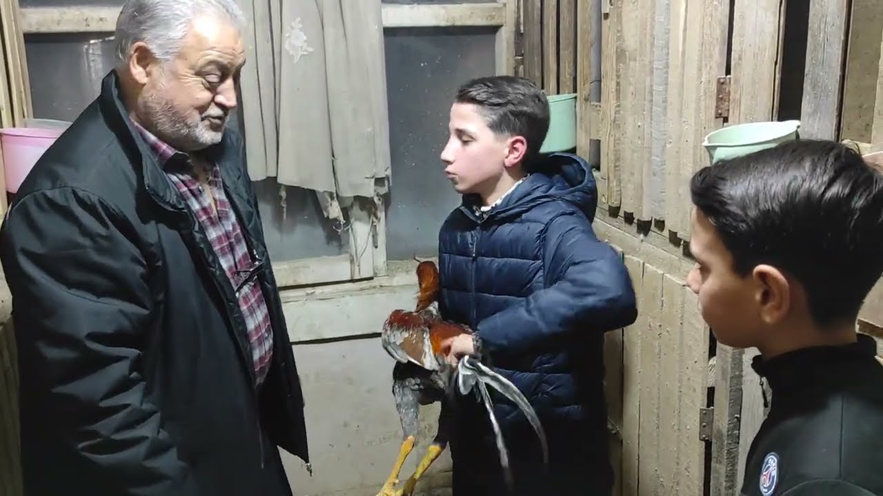 /// BU AKŞAM GENÇLER HEDİYE GETİRMİŞLER GÜZEL BİR YAVRU TEŞEKKÜRLER ///
