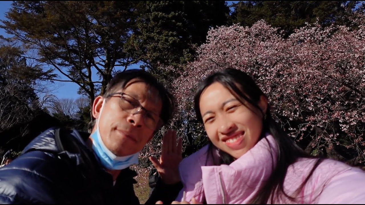 japan trip | kyoto, osaka, tokyo